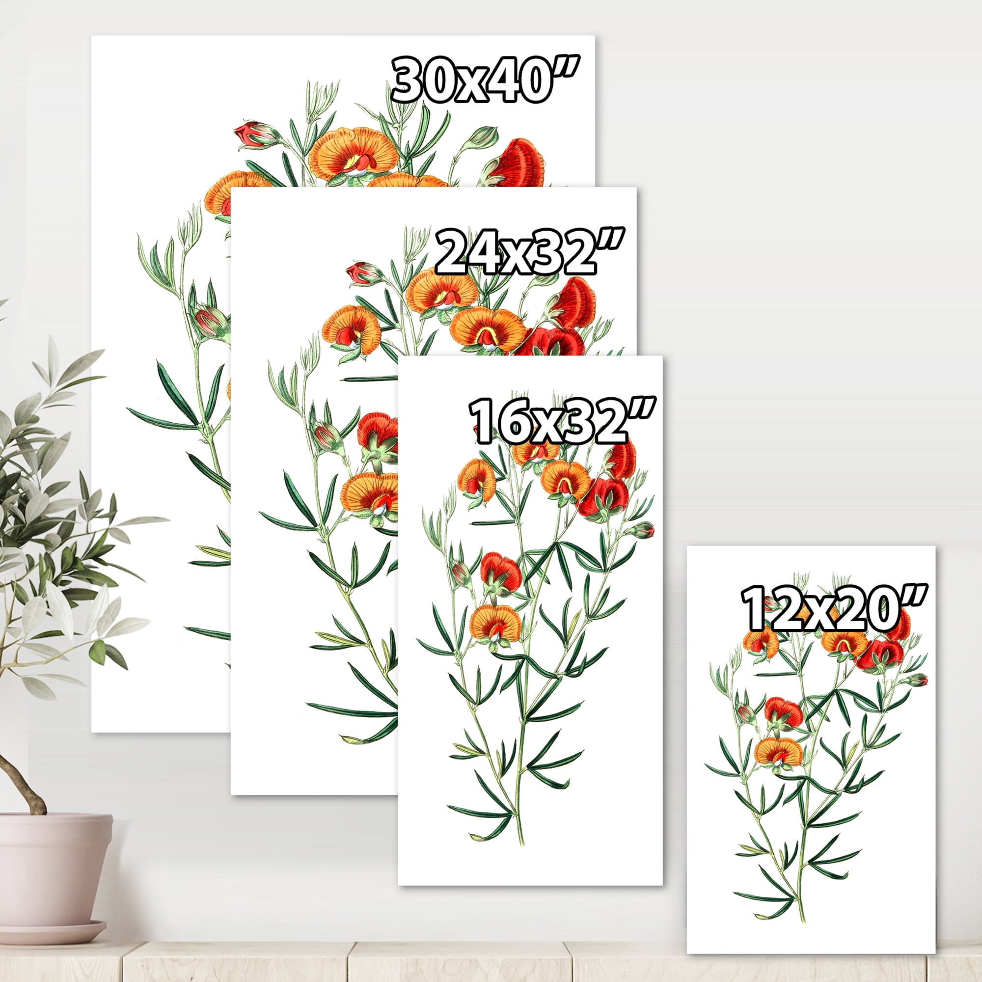 Designart ' Ancient American Flora VIII ' Traditional Canvas Wall Art Print