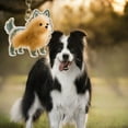 thumbnail image 3 of Clear Dog Hair Storage Charm Keychain Memorial Jewelry Pet Furs Collector Keepsakes For Pet Owners Keepsakes, 3 of 10