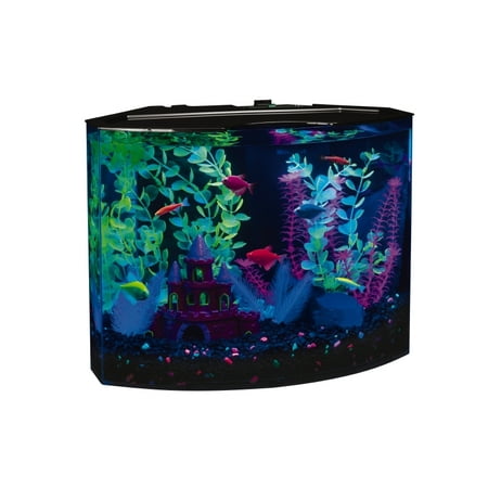 GloFish Crescent Aquarium Kit 5 G, Includes Blue LED Light And