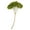 Basil, variant on Vickerman 15" Brown Hydrangea with Multiple Branch Segments. Preserved