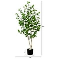 thumbnail image 2 of Nearly Natural 5ft. Artificial Birch Tree with Real Touch Leaves, 2 of 7
