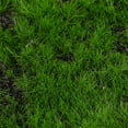 thumbnail image 3 of OFFIGAM artificial grass for crafts Simulation Moss Mat Green 2 Wall for Event Planners 1Set, 3 of 6