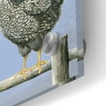 thumbnail image 3 of Epic Art 'Black & White Hens 2' by Janet Pidoux, Acrylic Glass Wall Art, 36"x12", 3 of 8