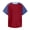 Brick Red, variant on Toddler Boy Dinosaur Embroidered Polo Shirt – Cotton Pique Short Sleeve Polo Top, Cute Fun Style, Birthday Party and School Daily Wear Size 1-7Y