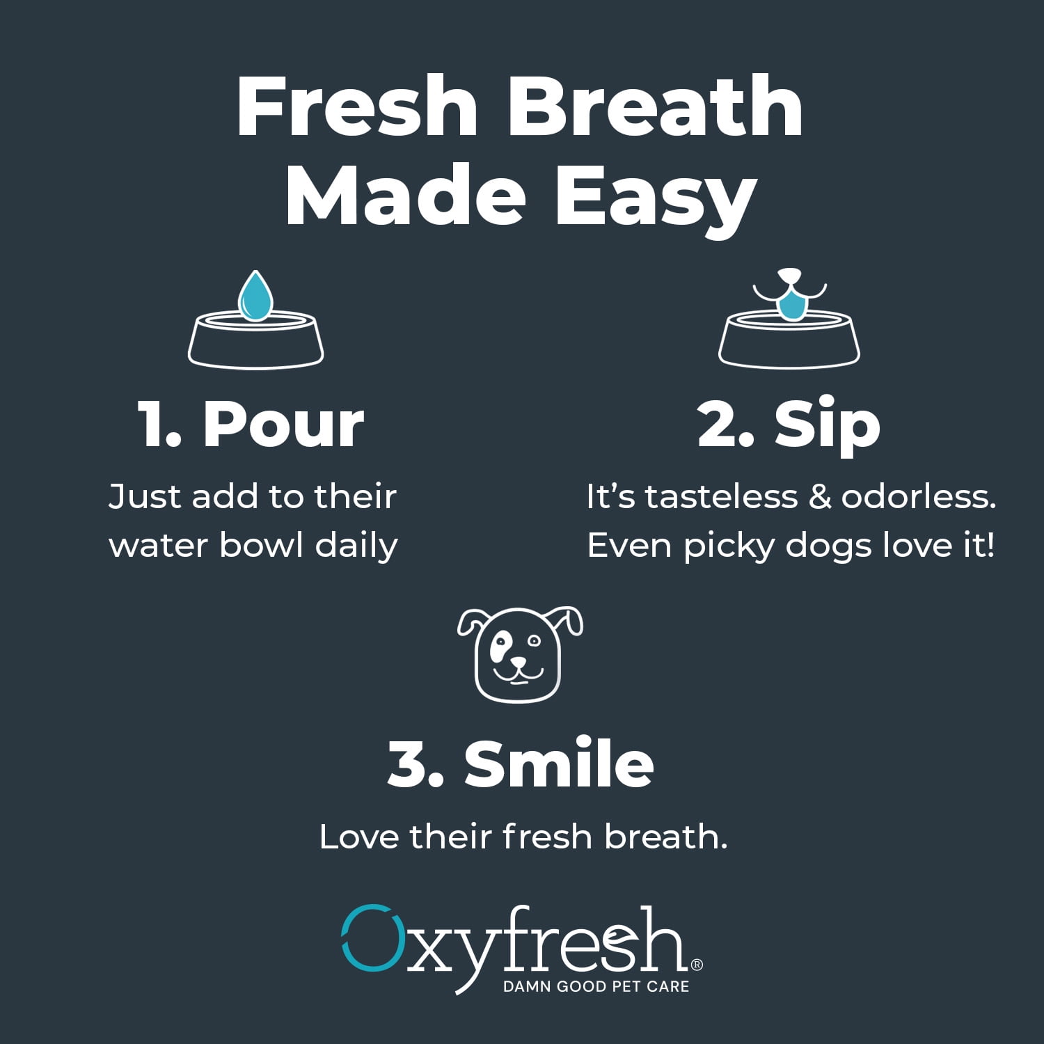 Oxyfresh Premium Dog Dental Water Additive, Best Way to Eliminate Bad Breath for Dogs, Teeth Cleaning Made Easy, 24 Ounce