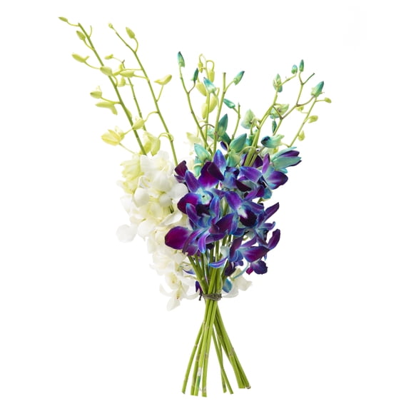KaBloom : Bouquet of Fresh 5 Blue Orchids, 5 White Orchids, Next-Day Delivery, Gift for all occasion