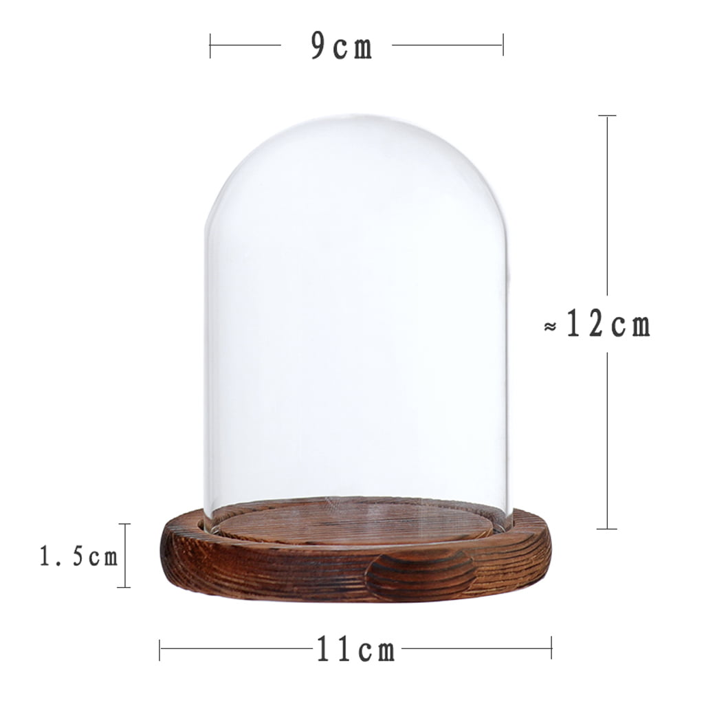 Decorative Clear Glass Cloche Bell Jar Display Case with LED Wooden Base 