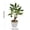 A, variant on Artificial Money Tree Bonsai, Realistic Artificial Green Plant in Pot, Office Desk Decor for Good Luck & Wealth, Low Maintenance Indoor Plant
