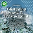 thumbnail image 3 of Air Wick Vibrant Plug-In Scented Oil Air Freshener Warmer Refills, Glistening Snow and Frosted Mint, 5 Count, 3 of 7