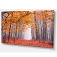 thumbnail image 2 of Beaux Arbres avec Feuilles Tombées, 2 of 3