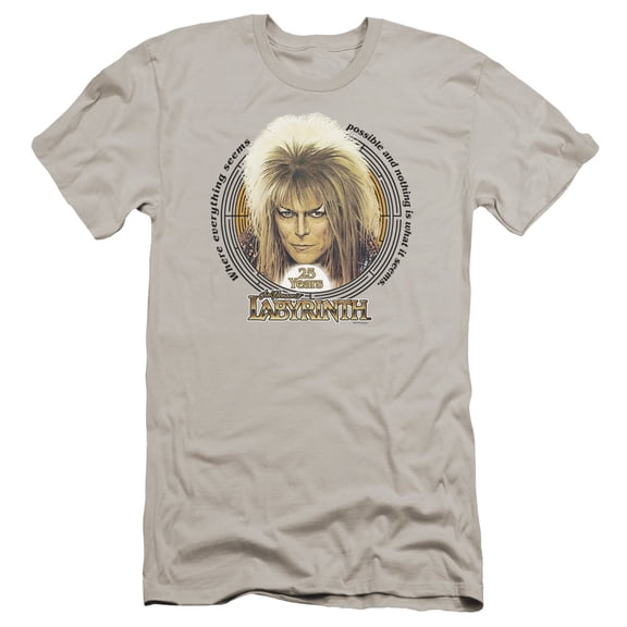 Labyrinth 25 Years Premium Canvas Adult Slim Fit 30/1 T-Shirt Silver