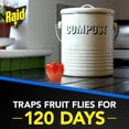 thumbnail image 5 of Raid Fruit Fly Trap, Liquid, 2 Pack, 5 of 9