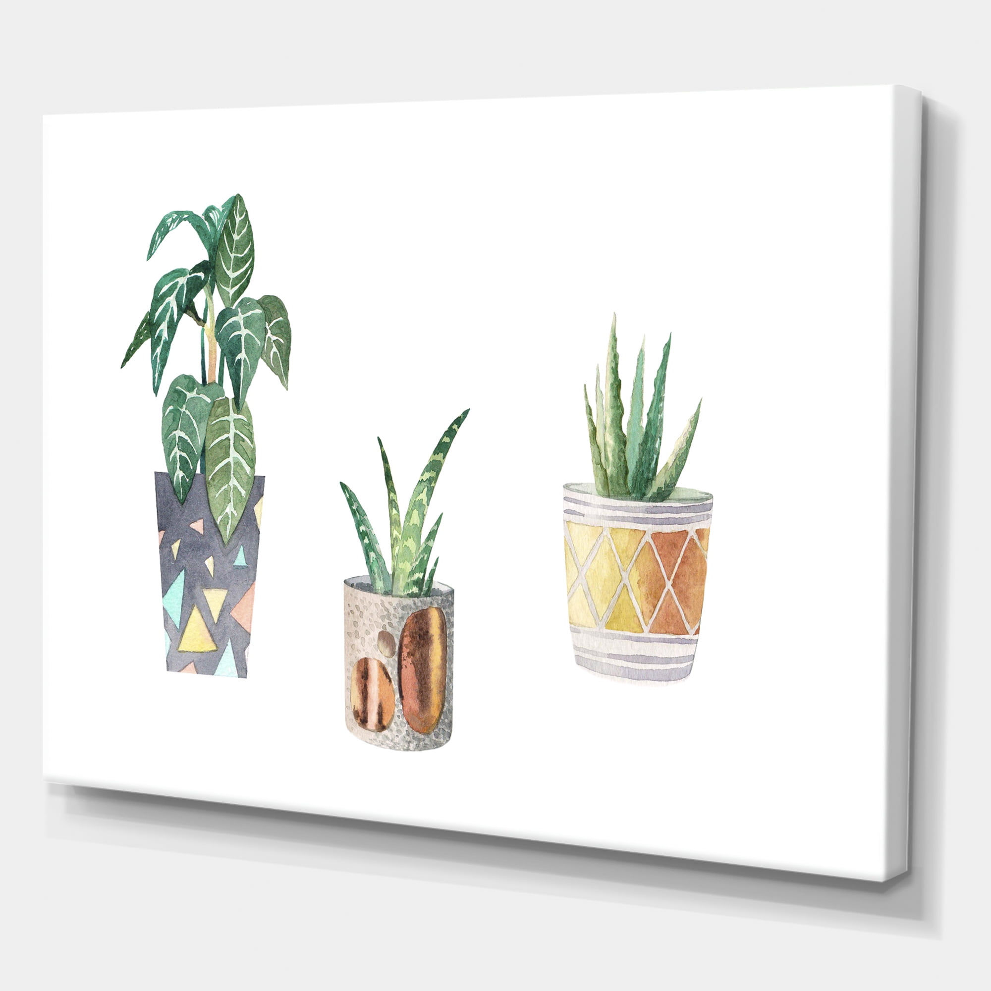 Designart ' Three Potted Houseplants On White ' Traditional Canvas Wall Art Print