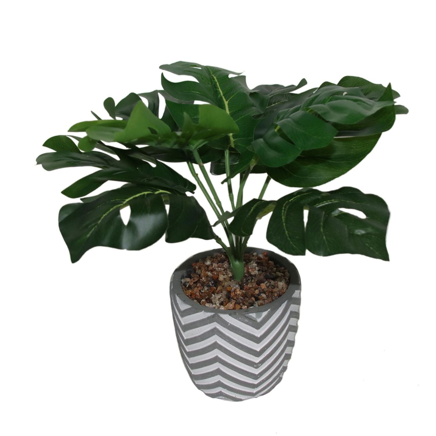 Plante en pot de Lerman Decor