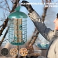 thumbnail image 5 of MUMTOP Squirrel Deterrent Green Bird Feeders for Outdoors Hanging, 2.73 lb Large Capacity, Caged Tube Wild Bird Feeder – Premium Grade Steel, Chew-Proof and Weather Resistant, 5 of 7