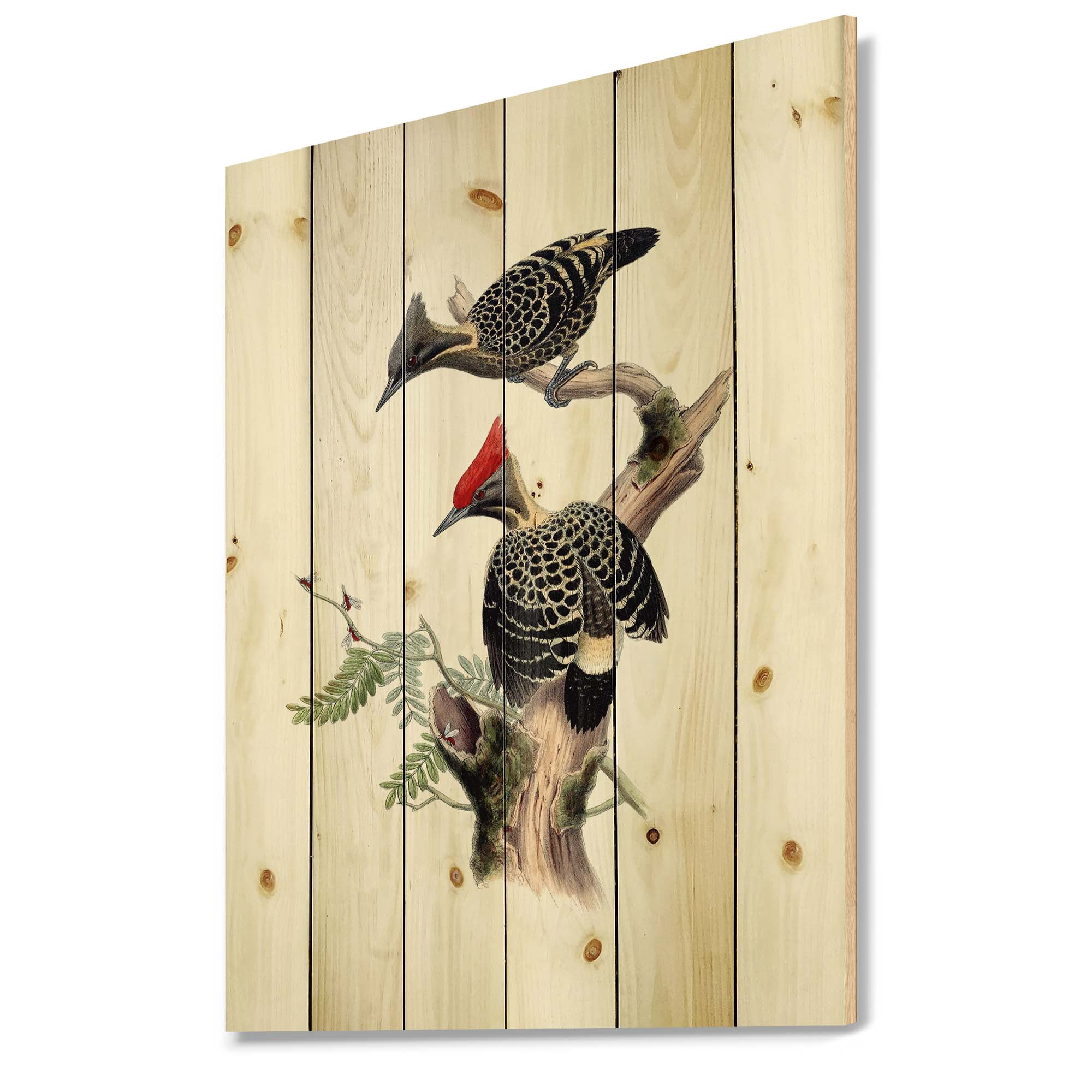 Designart 'Ancient Birds In The Wild VI' Traditional Print on Natural Pine Wood