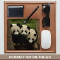 thumbnail image 4 of 3dRose, Giant panda bears, Wolong China Conservation, CHINA-AS07 POX0378 - Pete Oxford, MousePad, 4 of 7