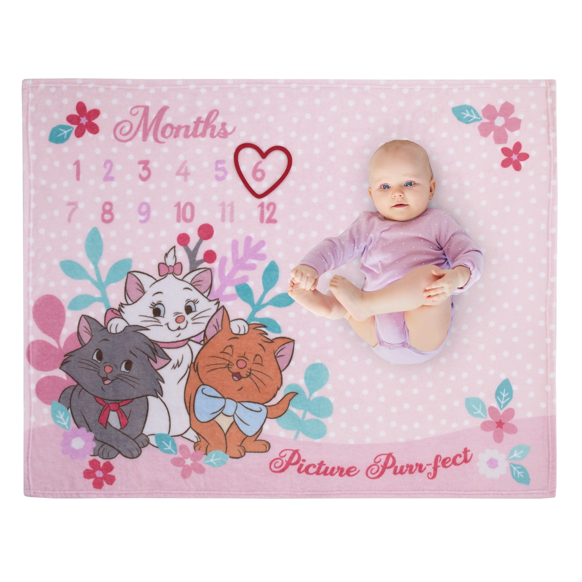 Disney Aristocats Photo Op Milestone Baby Blanket