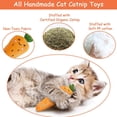 thumbnail image 2 of Jouets à l'Herbe à Chat Jouets pour Chats d'Intérieur Jouets Interactifs à l'Herbe à Chat, 2 of 7