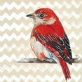 thumbnail image 2 of Pinto, Patricia 20x20 White Modern Wood Framed Museum Art Print Titled - Cheveron Baby Red Bird II, 2 of 4