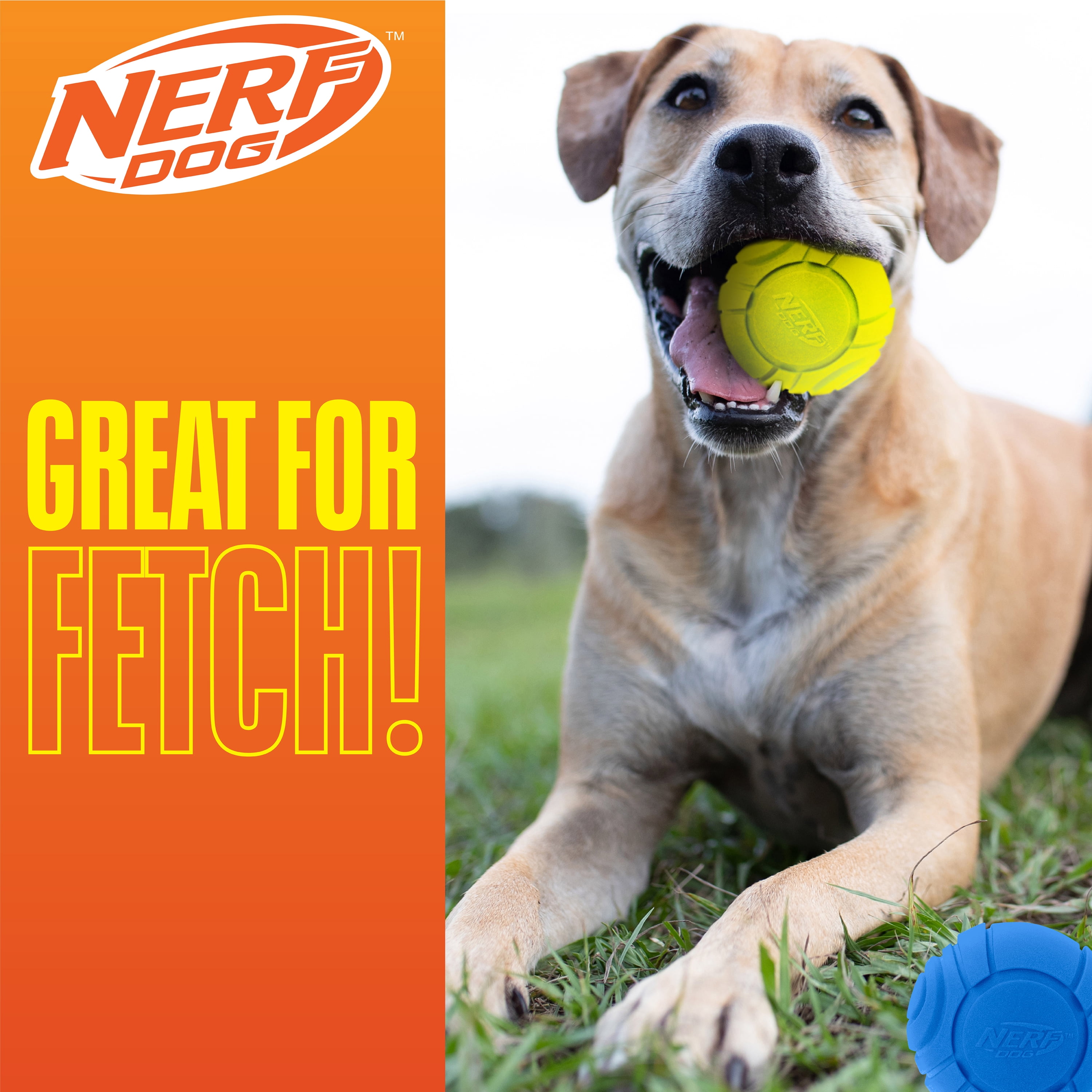 Nerf Dog Solid Tuff Sonic Ball 2 Pack, 2.5 inch