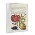 thumbnail image 3 of Stupell Industries French Country Vintage Flora & Fauna White Framed Giclee Art, 16 x 20, by Melissa Wang, 3 of 8