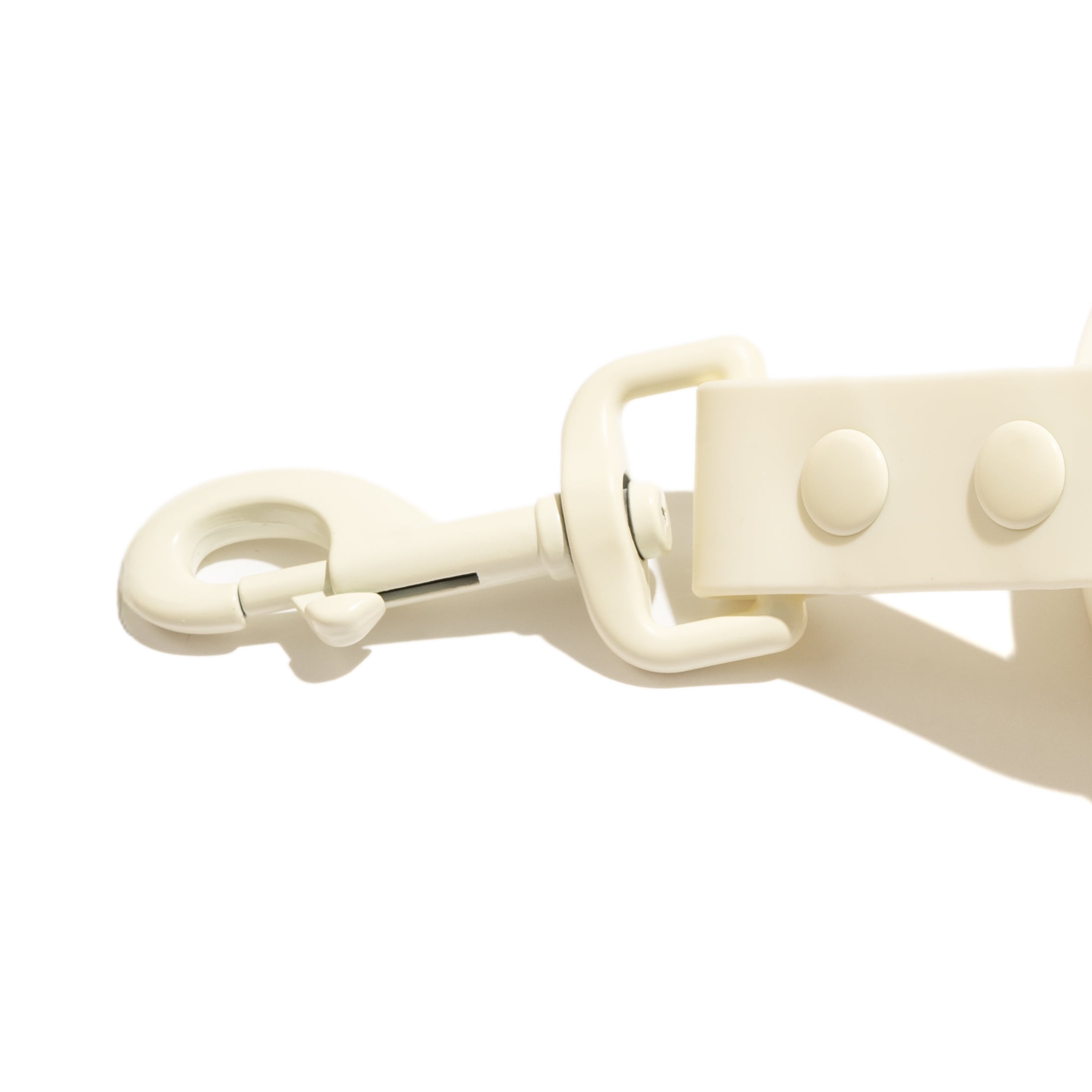 Vibrant Life 6 ft Water and Dirt Resistant Standard Dog Leash, Cream