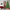 7FT,Green, variant on 5FT Pre-lit Christmas tree, Memory Wire Xmas Tree with 1200 Tips and 200 LED Lights, Hinged Snow Flocked Christmas Tree for Holiday Decoration