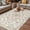 Beige, variant on Beige Boho Outdoor Rug for Patio/Deck/Porch, Non-Slip Large Area Rug 5 x 8 Ft, Middle Century Ethnic Vintage Abstract Indoor Outdoor Rugs Washable Area Rugs, Reversible Camping Rug Carpet Runner