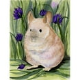 thumbnail image 1 of 11 x 15 Po Drapeau Chinchilla Taille du Jardin, 1 of 1
