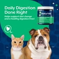 thumbnail image 6 of NaturVet Digestive Enzymes + Pre & Probiotic Powder for Dogs & Cats 4oz, 6 of 9
