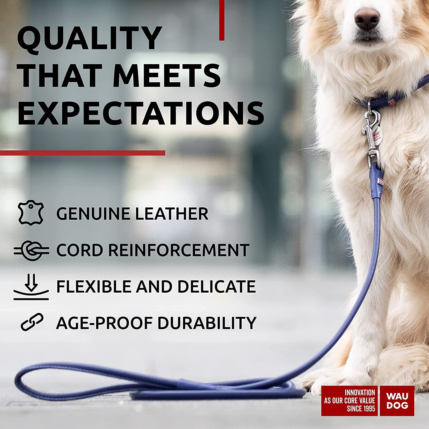 Glamour Rolled Leather Dog Leash for Small Medium and Large Dogs | Heavy Duty Strong Leather Puppy Leash for Outdoor Walking Running Training | Strong Dog Leashes for Large Breed Dogs - Purple