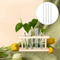 NICEXMAS Propagation Tube Vase Clear Test Tubes PC 6pcs