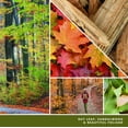 thumbnail image 6 of Yankee Candle Autumn Nature Walk- Wax Melt 2.6oz, 6 of 6