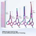 thumbnail image 2 of Ensemble de Toilettage pour Chien de 5 Pcs Ciseaux à Bout Rond Safety-First pour une Coupe Lisse et Nette, 2 of 6