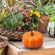 thumbnail image 2 of Mini Calabazas Artificiales - Espuma de poliestireno, realistas, para Decoración de Otoño y Acción de Gracias, 2 of 5