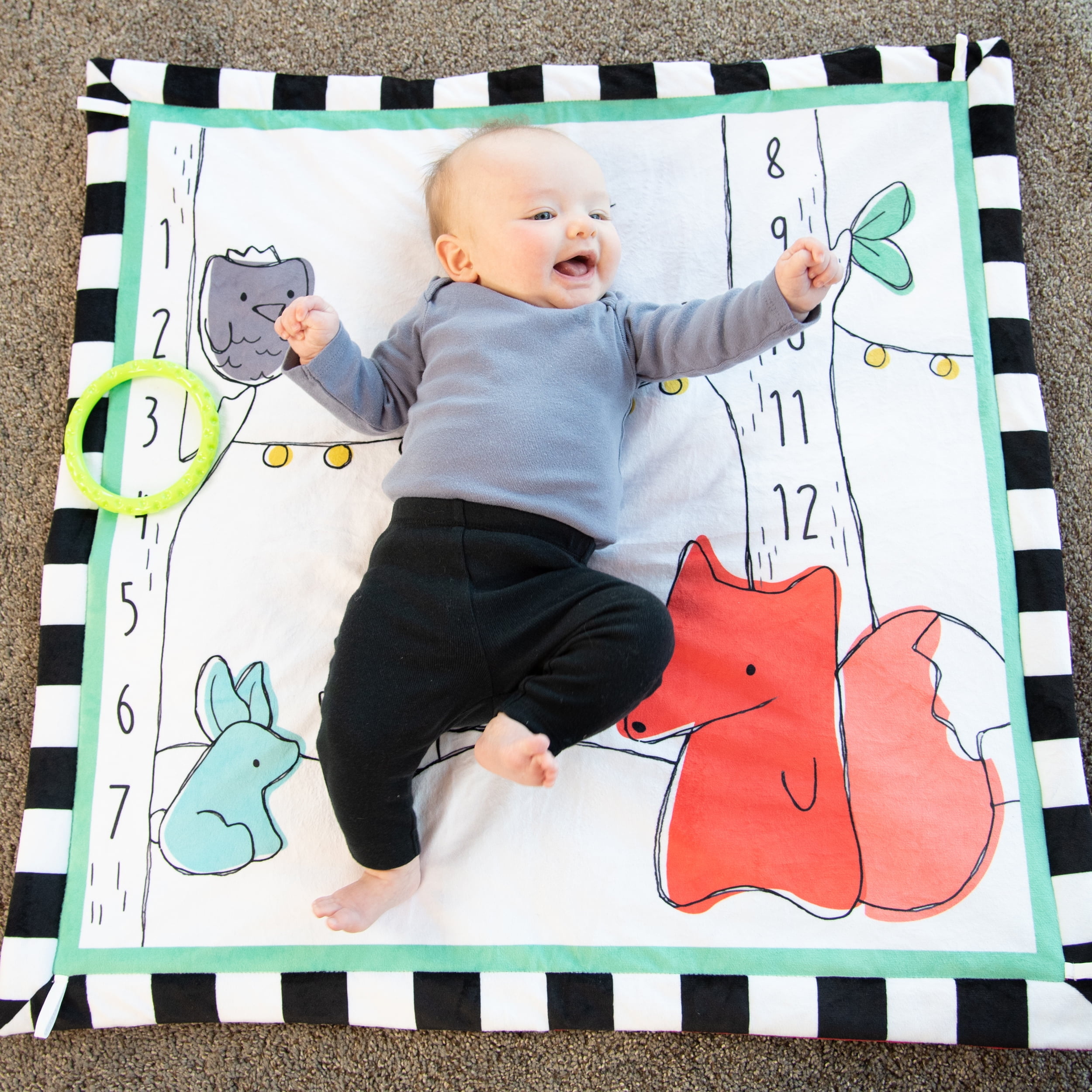 Sassy Gone Campin Woodland Sensory Activity Baby Play Gym 0 Months Old and Up
