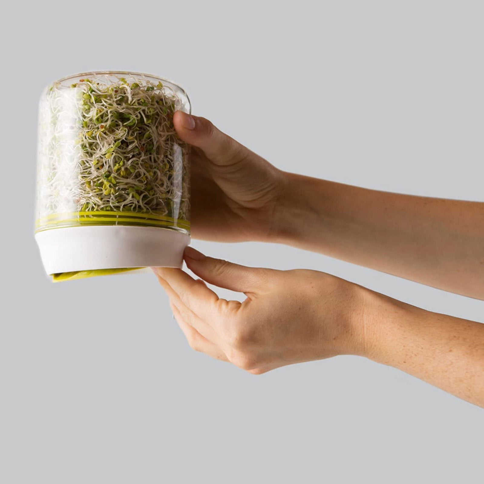Sprouting 101: How To Sprout And Why You Should – SMDR