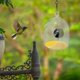 thumbnail image 5 of Comedero Para Pájaros Con Cámara 1080P Versión Nocturna Cámara De Vídeo Wifi Hotspot Conexión Remota Con Teléfono Móvil Para Fotos De Observación De Aves Al Aire Libre, 5 of 8