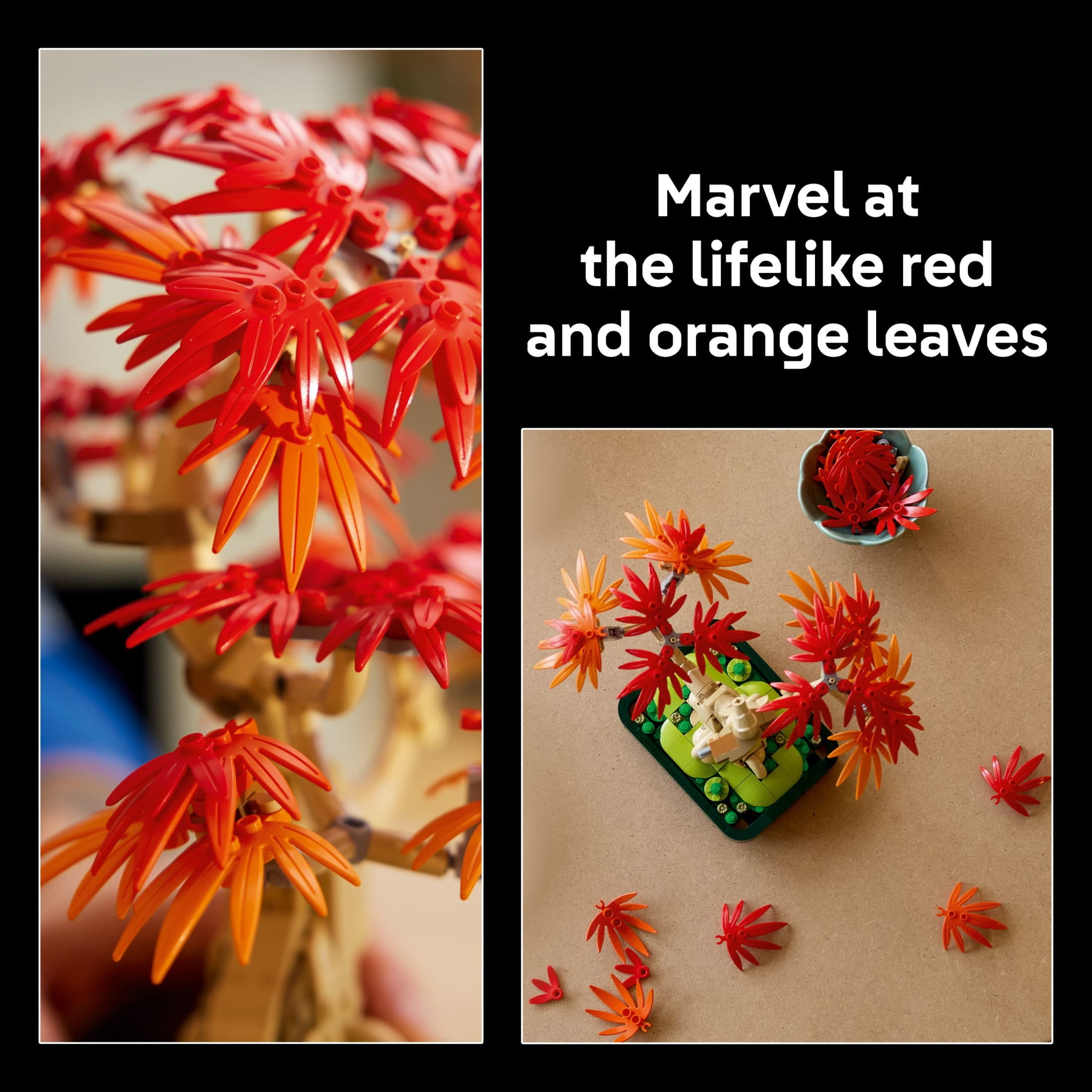 LEGO Botanicals Japanese Red Maple Bonsai Tree Building Kit for Adults 18+ - Unique Home Decor DIY for Room or Office - Gift for Birthdays - Plant Decor for Desk or Bookshelf- 10348