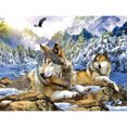 thumbnail image 1 of 30x40cm 5D pintura de diamante DIY completa, el lobo, lienzo de diamantes de imitación DIY pintura de punto de cruz por número para decoración de pared adultos niños brillar Electrónica, 1 of 5