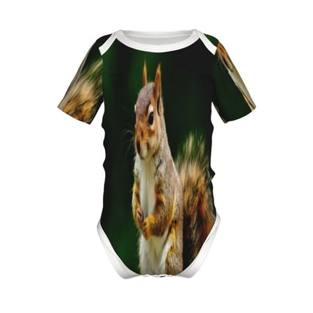 

Adobk Squirrels Eating Peanuts On The Tree Print Baby Climbing Clothes Jumpsuit Rompers Classic Rompers Child Short sleeve Bodysuits-9M