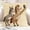 D, variant on Linen Throw Pillow Case Funny Year of Horse Print Decorative Cushion Cover for Sofa Home Decor Perfect for Living Room Coffee Shop Party A