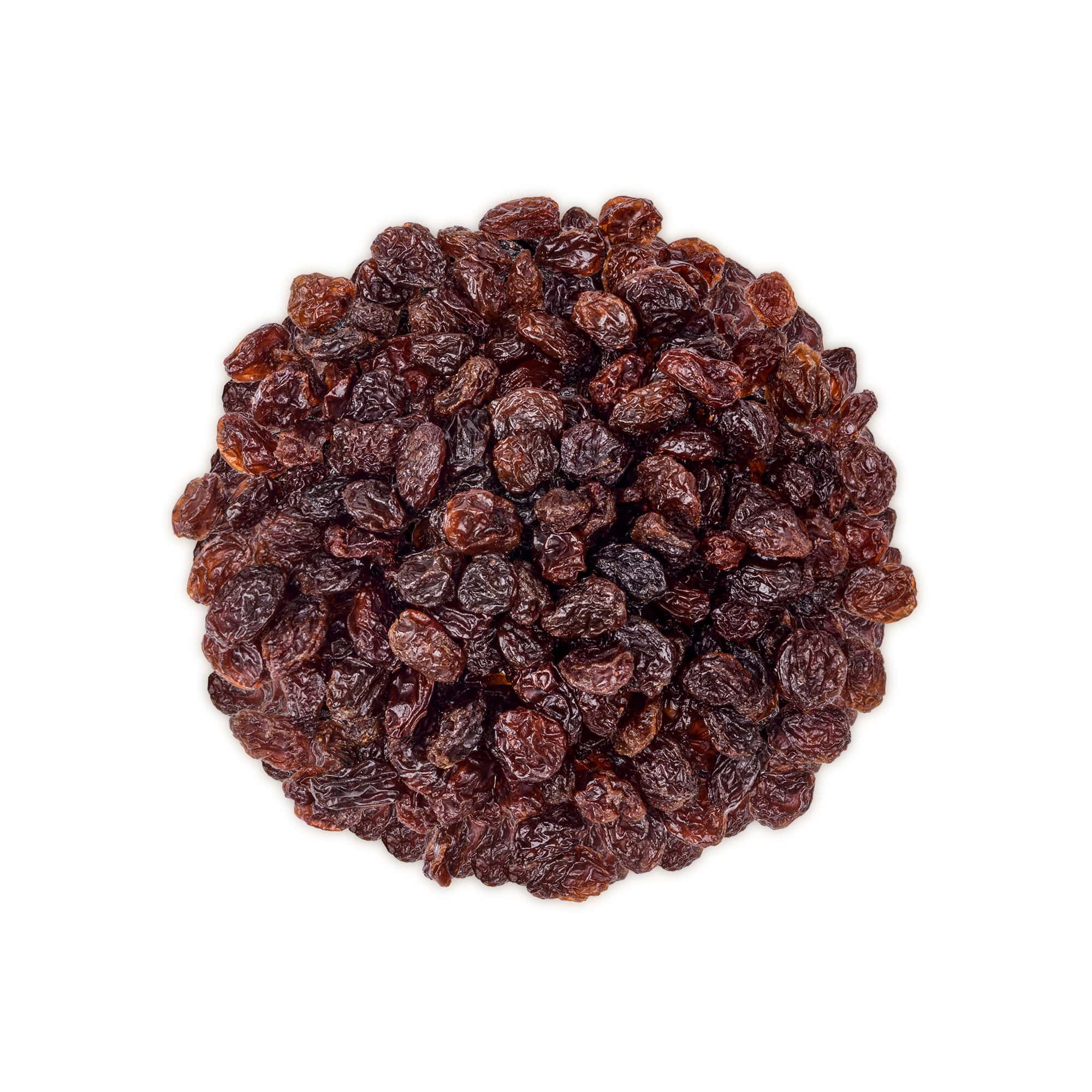 Sultana Raisins, 16 Pounds – Natural Dried Grapes for Baking, Snacking, and Trail Mixes. No Sugar Added, Unsulfured, Lightly Coated with Sunflower Oil. Perfect Pantry Staple. Paleo Fruit in Bulk