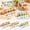 A, variant on Wooden Animal Rotating Puzzle – Toddler Fine Motor Skills Toy for 1-3 Year Old, Spin & Match Game for Travel, Preschool Sensory Learning(B)