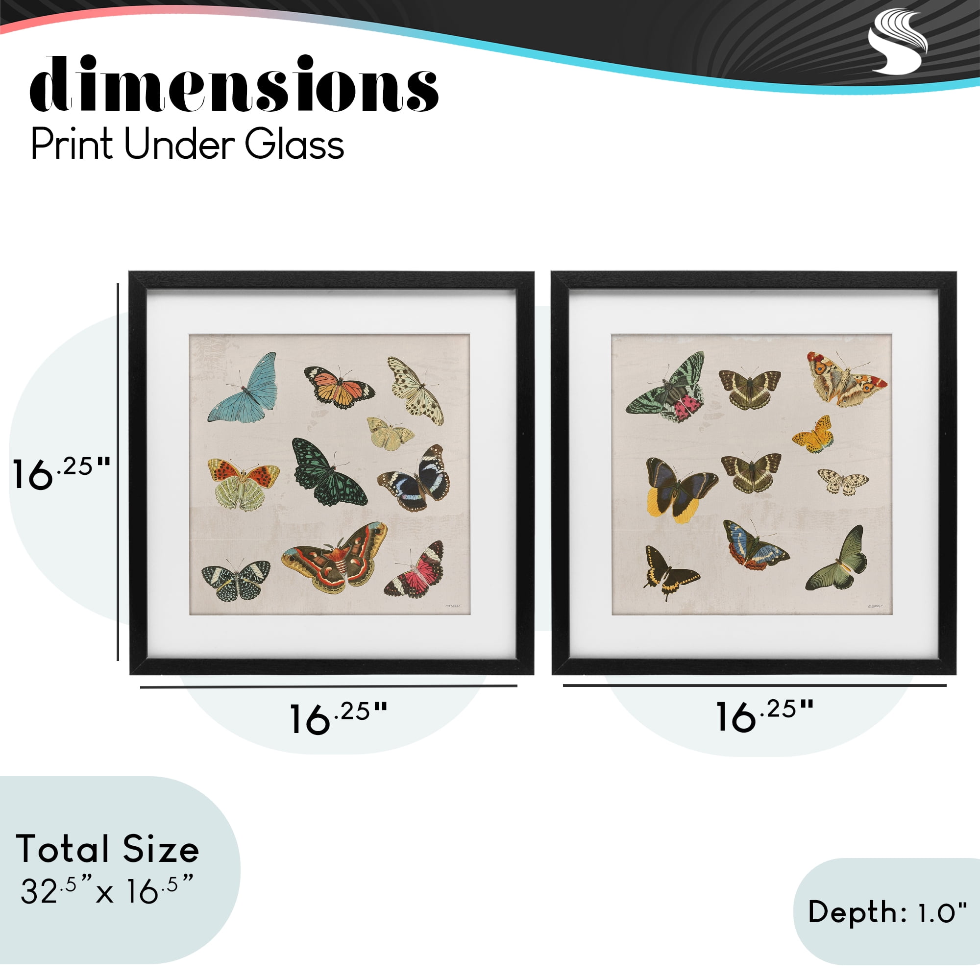 Stupell Industries Collection of Vintage Butterflies 2 Piece Black Framed Print Under Glass Set, design by Dan Meneely