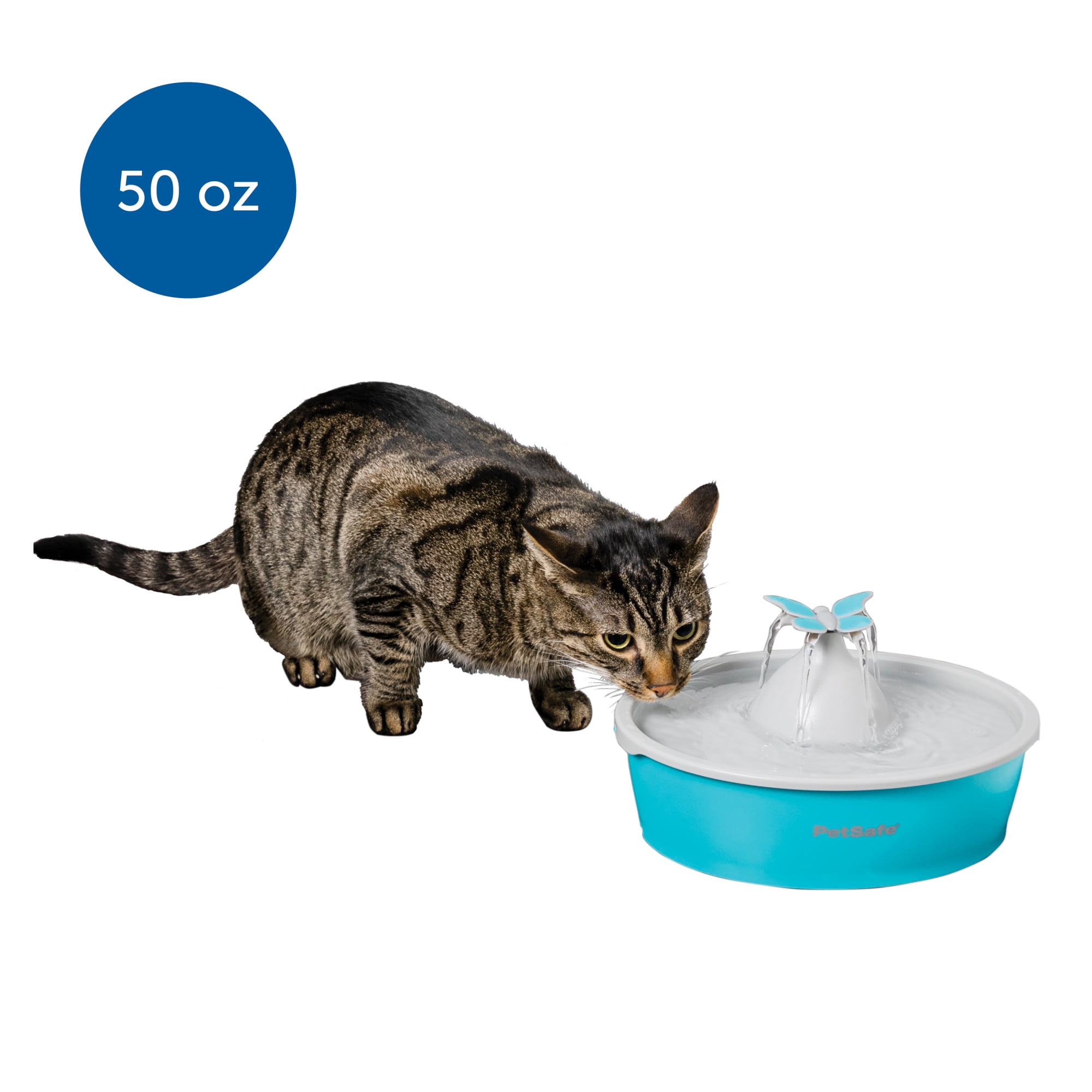 premier pet 50 oz pet fountain