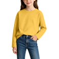 thumbnail image 3 of Diufon Baby Boys Girls Long Sleeve Shirt Toddler Thickened Round Neck Tops Comfort Basic Solid Color T-Shirt, 3 of 9