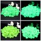 thumbnail image 5 of 30pcs / Bag Luminous Pebbles Stones Home Fish Tank Decoración al aire libre Garden Walkway Glow in t Abanopi Guijarros resplandecientes, 5 of 7