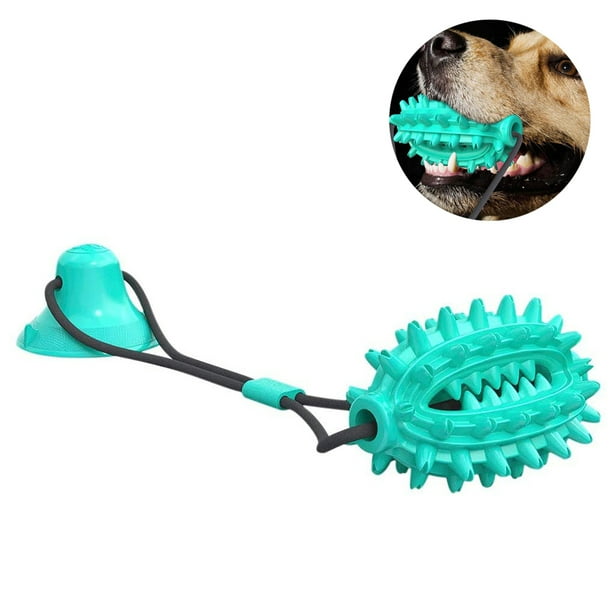 Dog ball with suction cup online